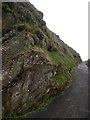 SS5247 : Rock Face by the Path up to St Nicholas' Chapel by Brian Westlake