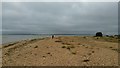 SU4802 : Vegetated shingle on Calshot Spit by Phil Champion