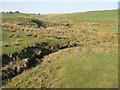 NT0548 : Anston Burn from Anston Bridge by M J Richardson