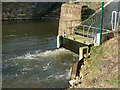 SJ7567 : Cranage hydro power plant - detail by Stephen Craven