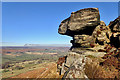 NZ7004 : Hanging Stone, Danby Dale by Mick Garratt