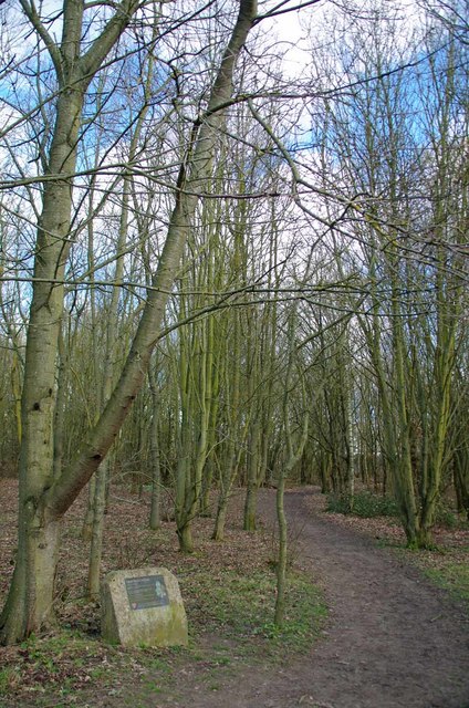 Charter Wood