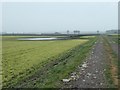 SD4816 : Flooded farmland on Croston Moss by Christine Johnstone