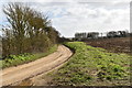  : The lane to Boyton Hall Farm by Simon Mortimer