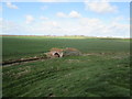 TA0852 : Bridge  over  Nafferton  Drain  from  flood  bank  footpath by Martin Dawes