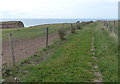 NZ7818 : Cleveland Way at Staithes by Mat Fascione