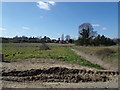 TM3669 : Looking towards Sibton Nursery School by Geographer