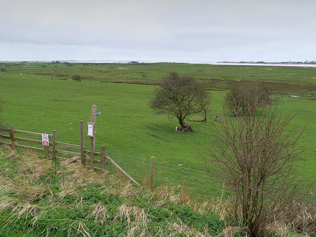 Path towards Glasson Salt Marsh