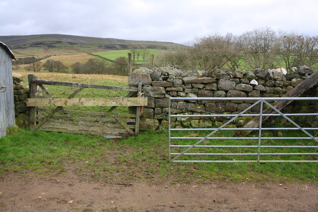 Field gateway above Pus Gill