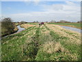 SE8132 : Footpath  on  top  of  flood  defence  bank by Martin Dawes