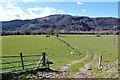 SH7864 : View down a track and across grassland by Richard Hoare