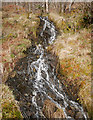 NH2828 : Woodland stream, Glen Affric by Craig Wallace