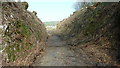 SS6644 : Lynton and Barnstaple Railway - Disused Trackbed near Parracombe by Barrie Cann