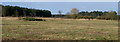 TL7893 : Panorama looking towards forest by David Pashley