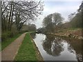 SJ9152 : The Caldon Canal at Stockton Brook by Graham Hogg