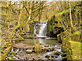 SD8019 : Waterfall on Dearden Brook by David Dixon