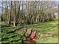 SO8398 : Nurton Brook east of Pattingham in Staffordshire by Roger  D Kidd