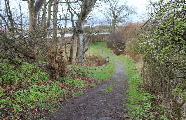 The Serpentine Walk, Lower Largo