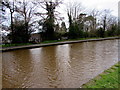 ST2897 : Canalside path, Five Locks Moorings, Cwmbran by Jaggery