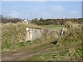 NO4302 : Bridge abutments at Carrick Villa by Oliver Dixon