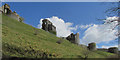 SY9582 : Corfe Castle by Derek Harper