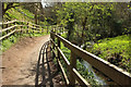 SY9582 : Path below Corfe Castle by Derek Harper