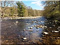 NY9939 : The River Wear, Stanhope by Bill Henderson