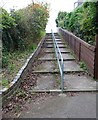 NO4102 : Steps from Burnbrae Terrace, Lower Largo by Bill Kasman