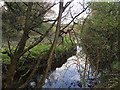 SP3477 : River Sherbourne below Charterhouse Field, Coventry by Robin Stott