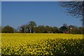 TM3458 : Little Glemham: looking towards the church from Church Road by Christopher Hilton