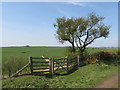 NZ3931 : Bridleway gate near Sedgefield by Malc McDonald