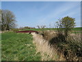 NZ3831 : River Skerne near Sedgefield by Malc McDonald