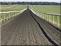 TL6563 : All weather training and exercise horse gallops on Warren Hill, Newmarket by Richard Humphrey