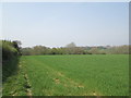 SE6485 : Field  edge  footpath  toward  Goodhams  Dale by Martin Dawes