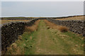 SD9563 : Green Lane on Threshfield Moor Revisited by Chris Heaton