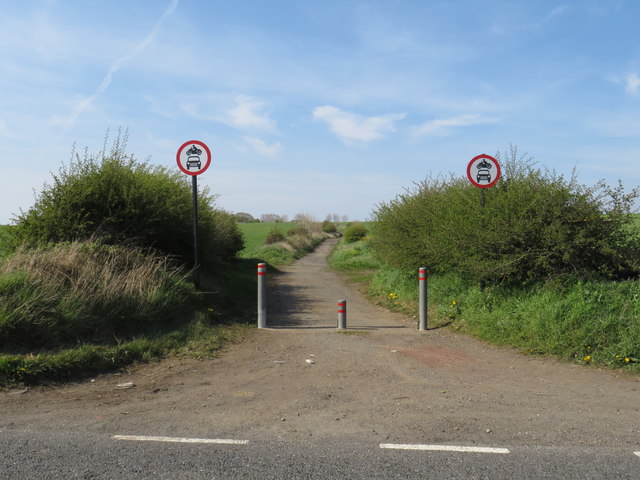 Nettles Lane, near Ryhope