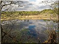 NH7676 : Loch Kildary by valenta