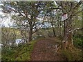 NH7676 : Circular path around Loch Kildary by valenta