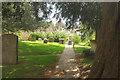 ST4316 : Churchyard, South Petherton by Derek Harper