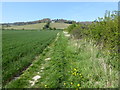 TQ4958 : The North Downs Way near Chevening by Marathon