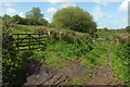 ST4413 : Gates and footpath near Sandy Hole by Derek Harper