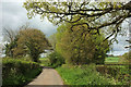 ST5010 : Lane from Hardington Marsh by Derek Harper