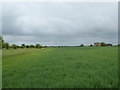 SP2507 : RAF Broadwell WW2 control tower and remains of perimeter road and ancillary buildings by Vieve Forward