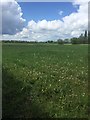 TL2659 : Field view near Eltisley by Dave Thompson