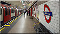 TQ3281 : Platform, St. Paul's Underground Station by Rossographer