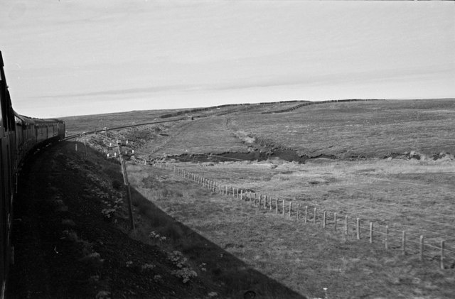 Railway through the Flow Country