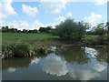 SP6097 : Eroded canal bank, west of Kilby Bridge by Christine Johnstone