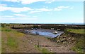 NT3294 : West Wemyss harbour by Bill Kasman