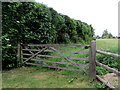 ST6092 : Wooden gate, Featherbed Lane, Oldbury-on-Severn by Jaggery