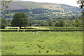 SO2615 : Rough grassland by A40, Monmouthshire by M J Roscoe